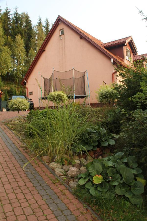 Zacisze Kaszuby - Natural - New